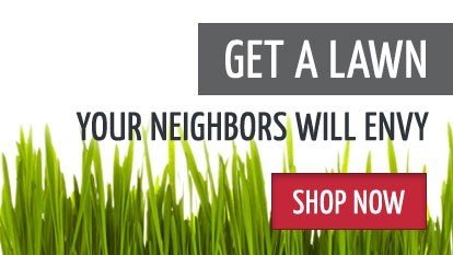 Solutions Pest and Lawn